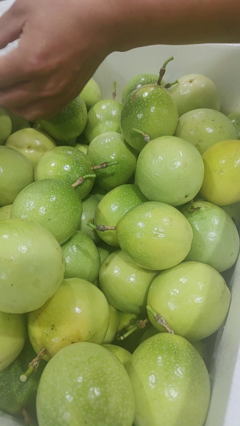 百香果