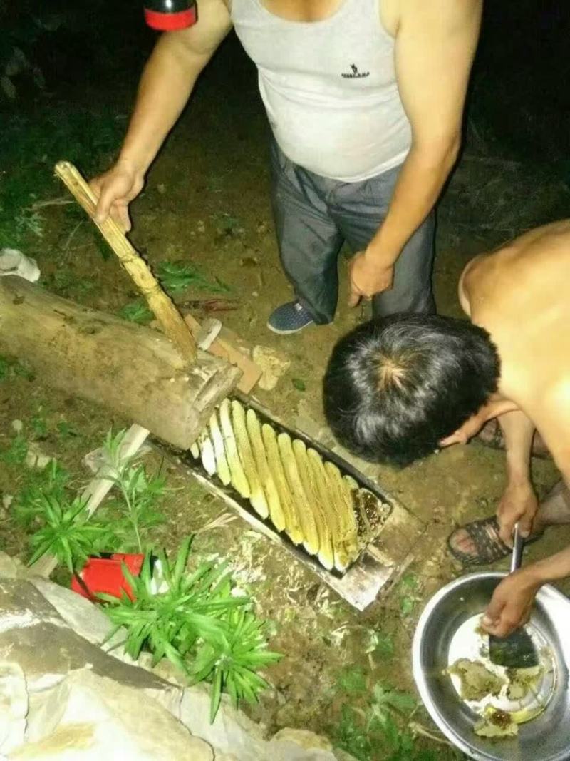 土蜂蜜