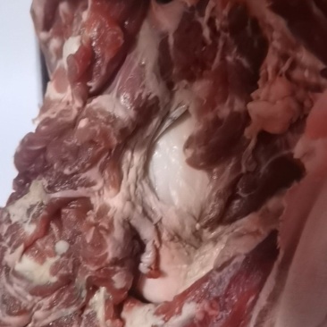 冻羊肉