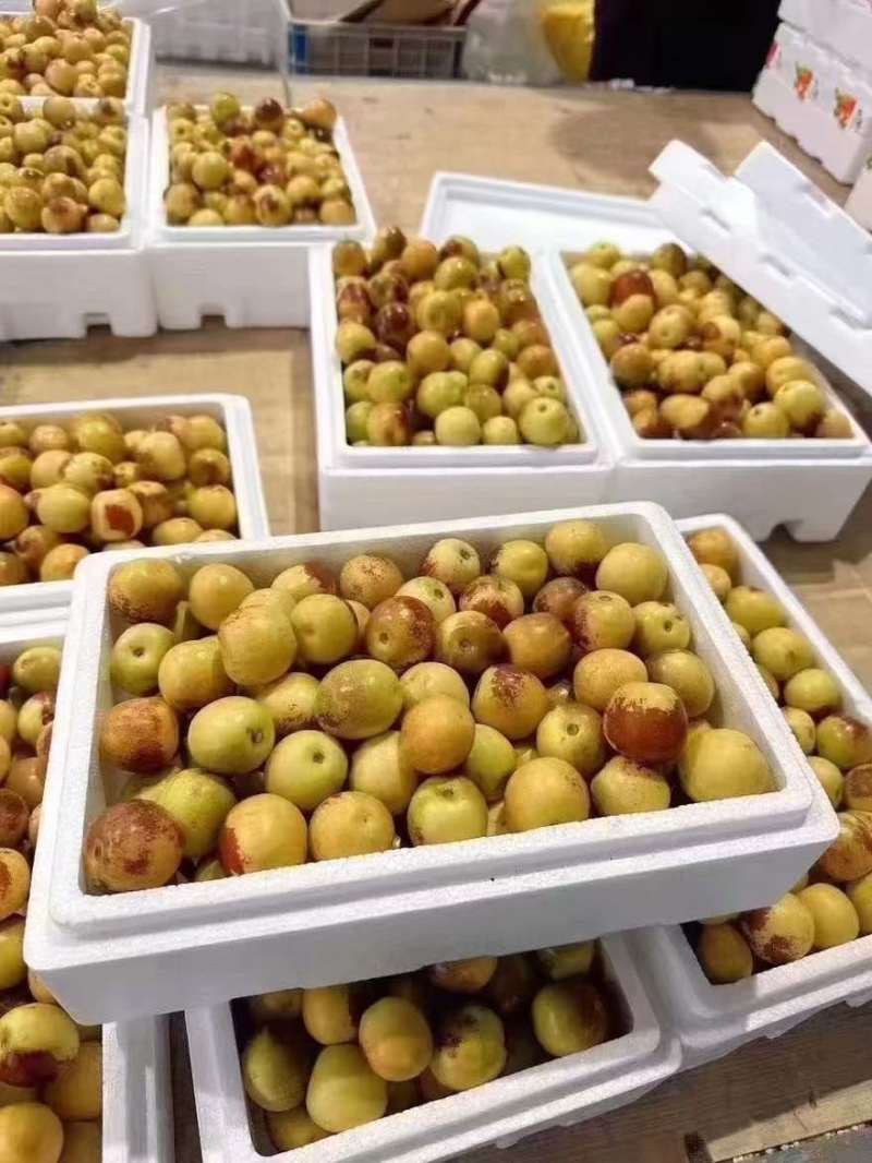 大荔冬枣