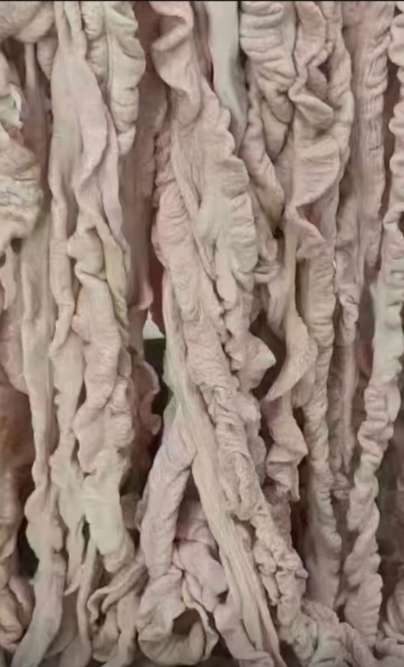猪大肠