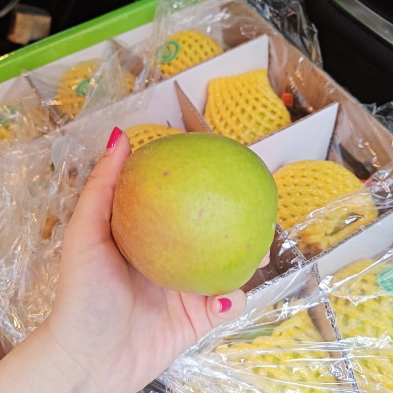 陕西黄陵翡翠梨