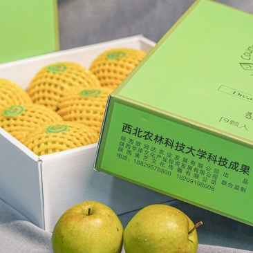 陕西黄陵翡翠梨