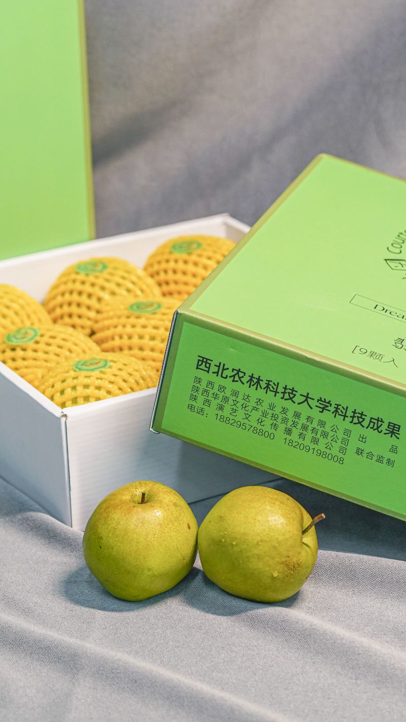 陕西黄陵翡翠梨