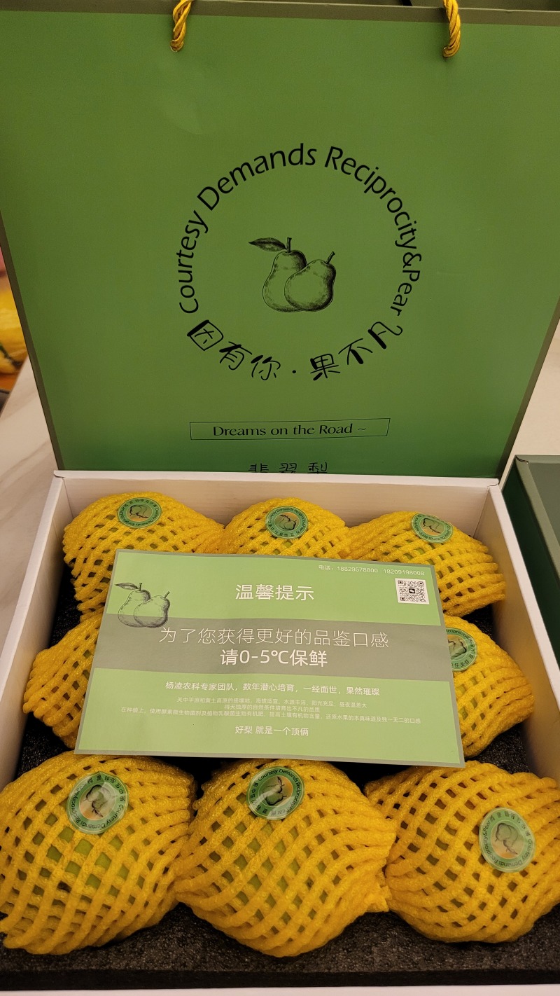 陕西黄陵翡翠梨