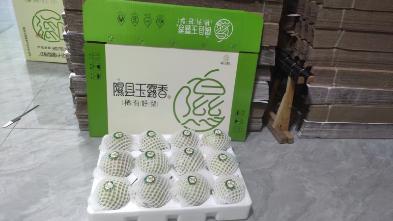 隰县玉露香梨