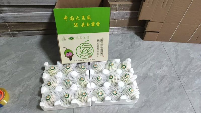 隰县玉露香梨