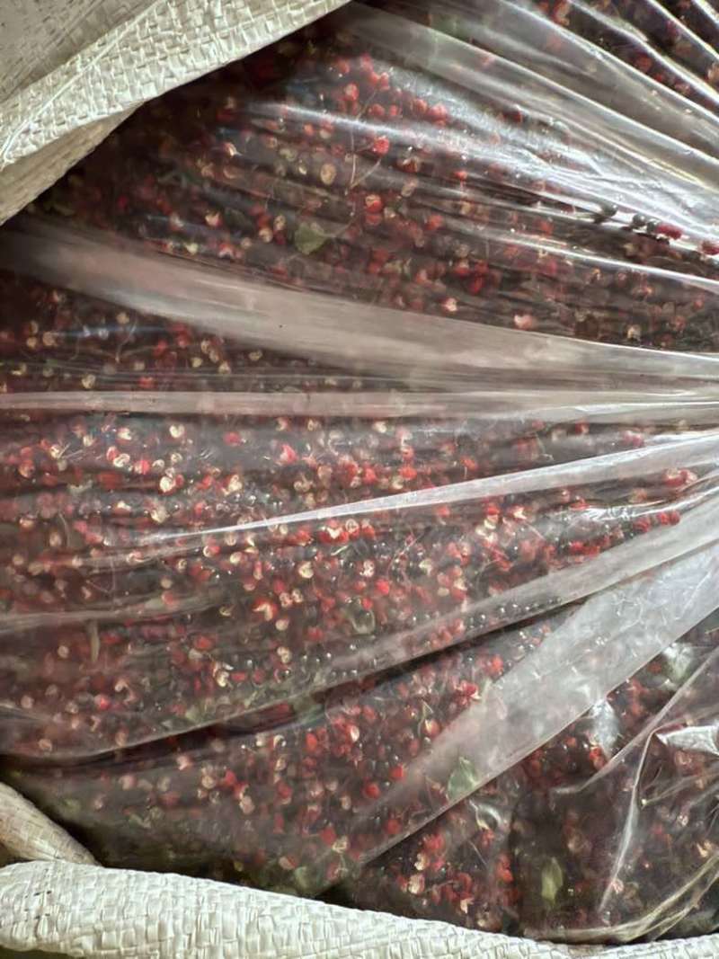 正宗汉源花椒自家百亩花椒第一手货源价格合理品质