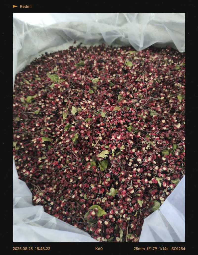正宗汉源花椒自家百亩花椒第一手货源价格合理品质