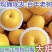 山东聊城秋月梨丰水梨皇冠梨大量有货对接电商