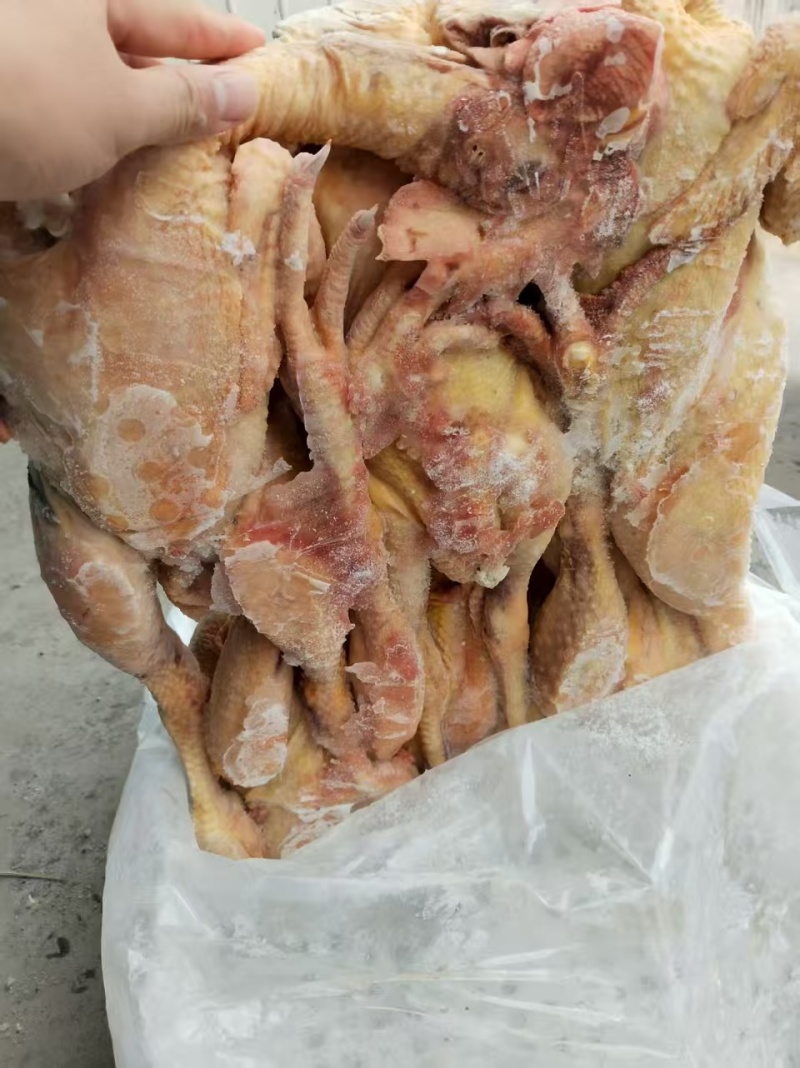 一级公鸡母鸡，单只3-5斤，超码袋装