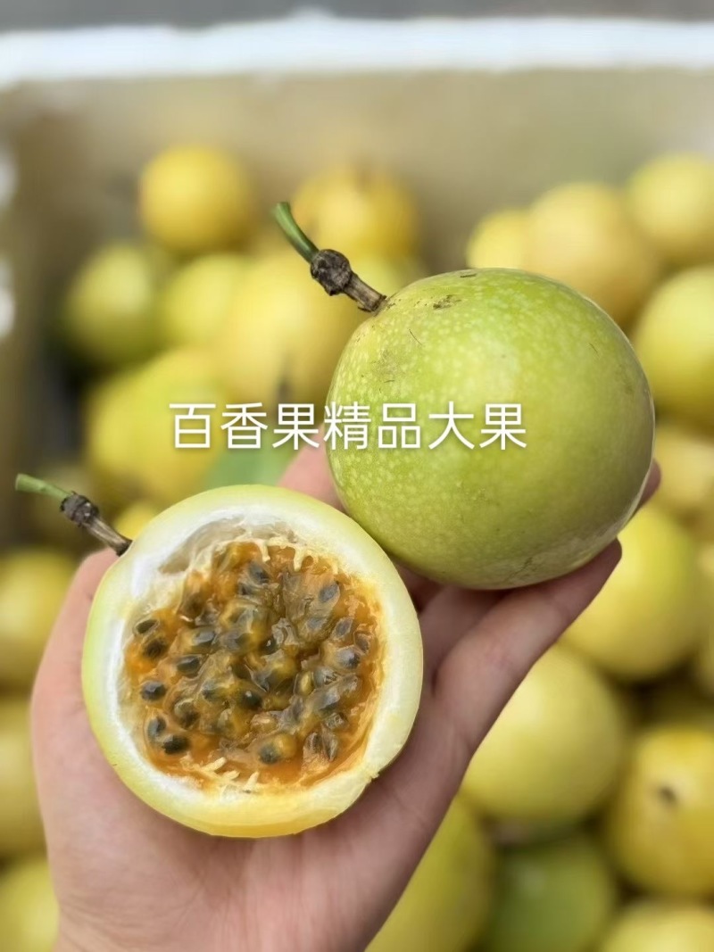 钦蜜9号黄金百香果，新鲜采摘，当天发货