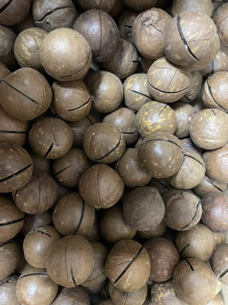 夏威夷果电商一件代发