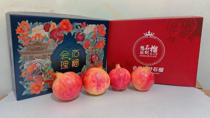 会理突尼斯石榴
