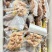 碧波园食品烤小肠