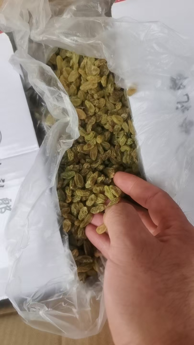 新疆葡萄干绿宝石