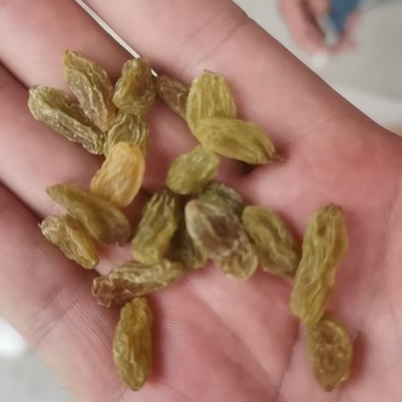 新疆葡萄干绿宝石