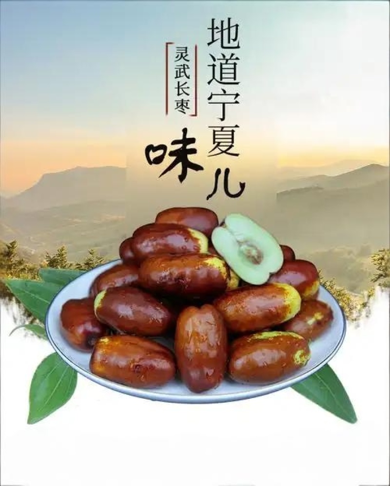宁夏灵武长红枣