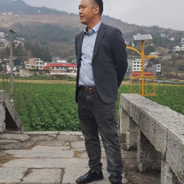 我有黄菜叶子，品质好出油率高，每年有10万斤