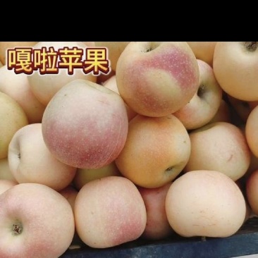 旮旯苹果