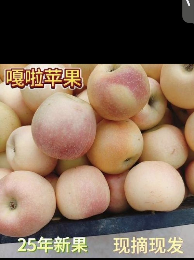 旮旯苹果