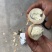 五香烤鹅蛋，卤鹅蛋，130—-180包装一件代发，