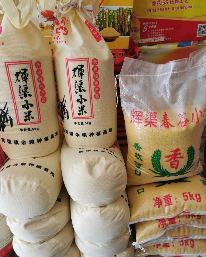 正宗辉渠春谷小米