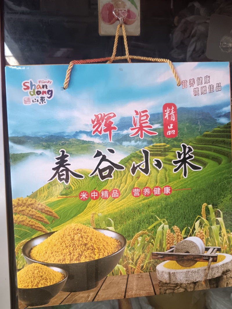 正宗辉渠春谷小米