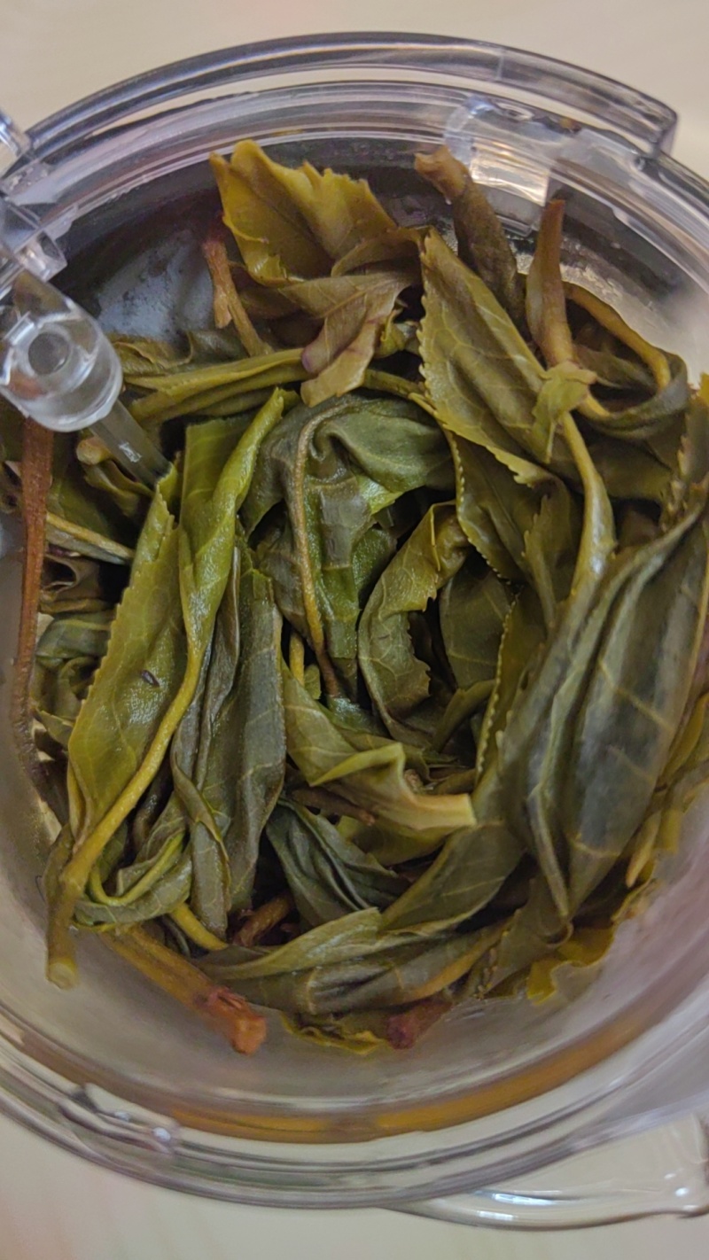 临沧市小红坡古树茶