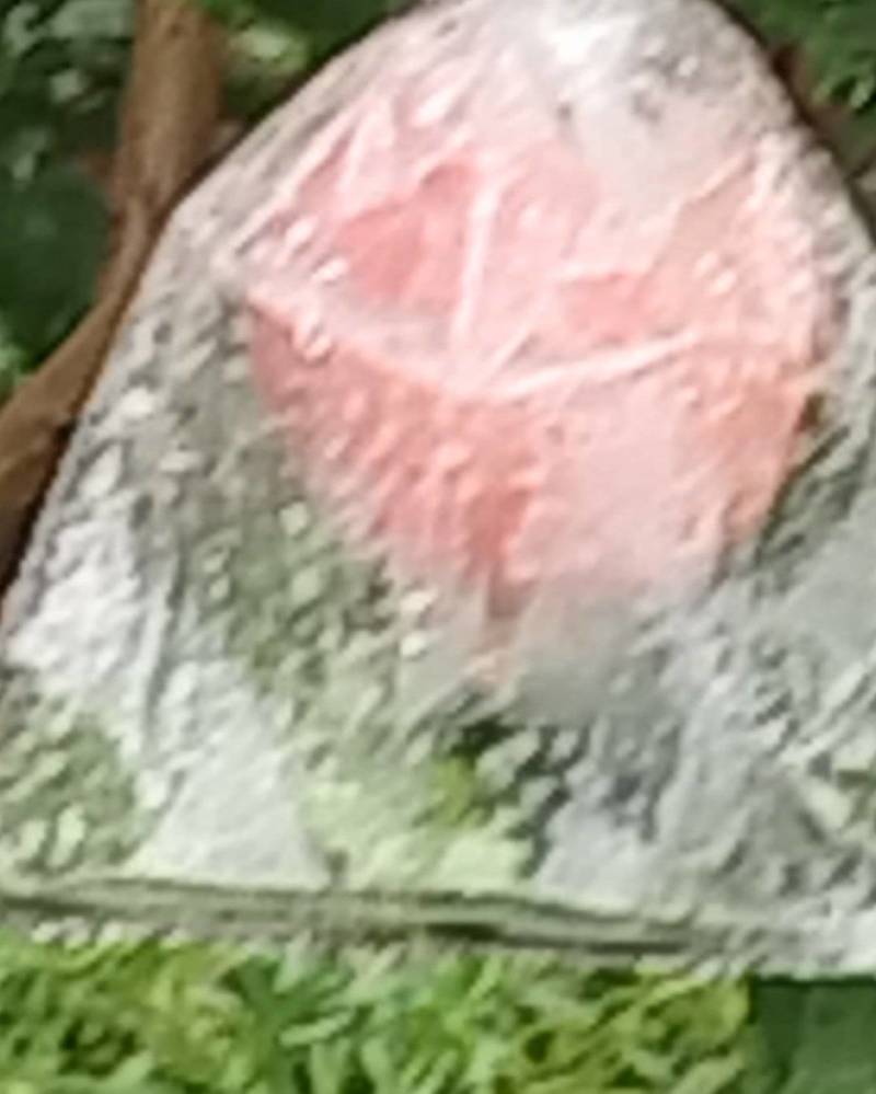 临潼甜石榴
