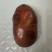 鸡宝***********