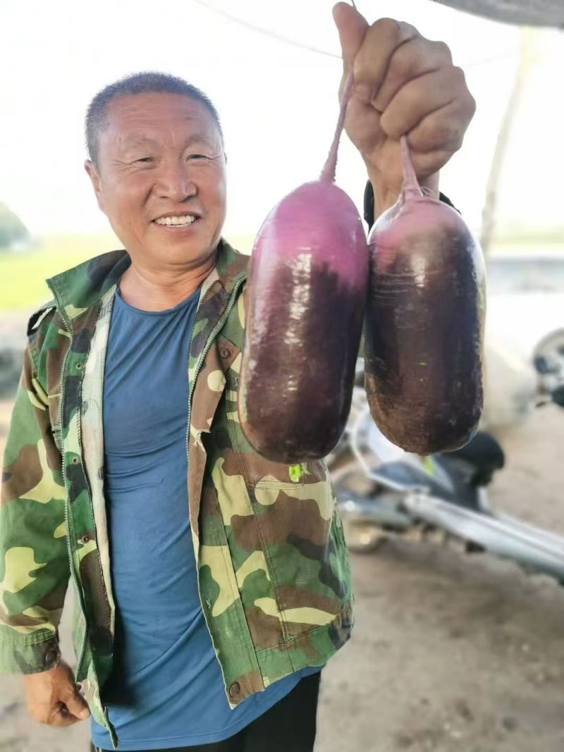 冰淇淋萝卜