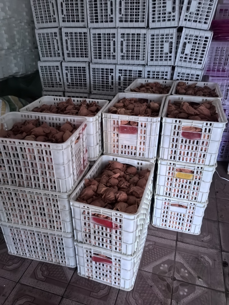 蒲江红心猕猴桃