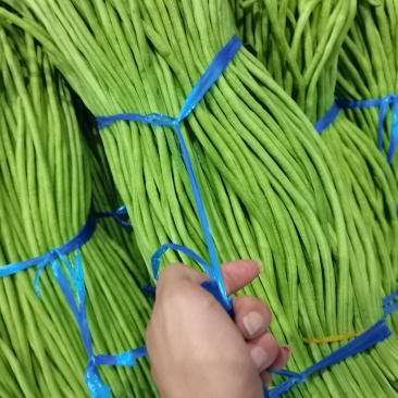 青豆角