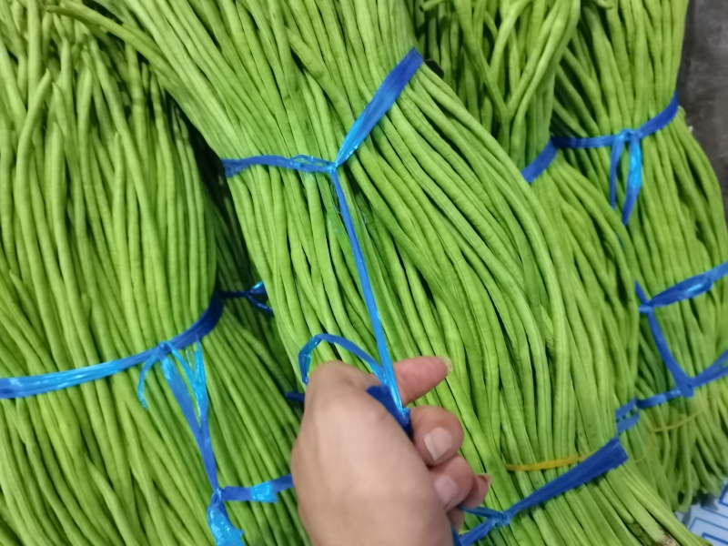 青豆角