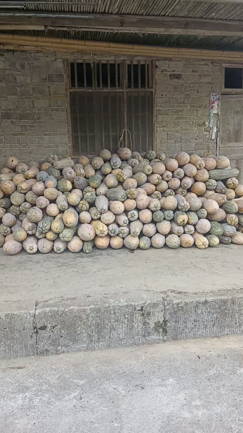 重庆蜜本南瓜