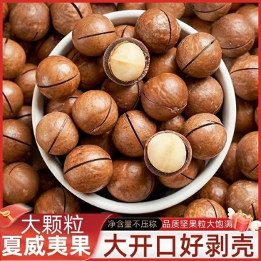 夏威夷果低价批发一件代发