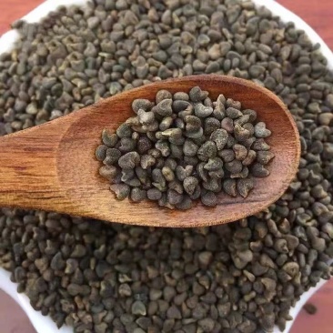 野生苘麻子.地道药材，质好价优，品质保证，药典标准，一手货