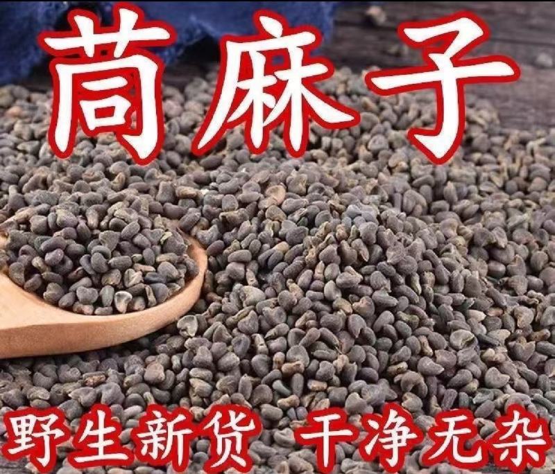 野生苘麻子.地道药材，质好价优，品质保证，药典标准，一手货