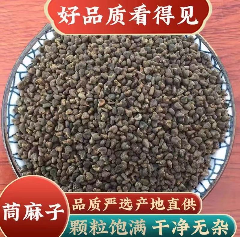 纯野生苘麻子无硫干货中药材青麻子中药材量大可谈价