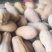 密本甜南瓜
