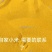 山东小米