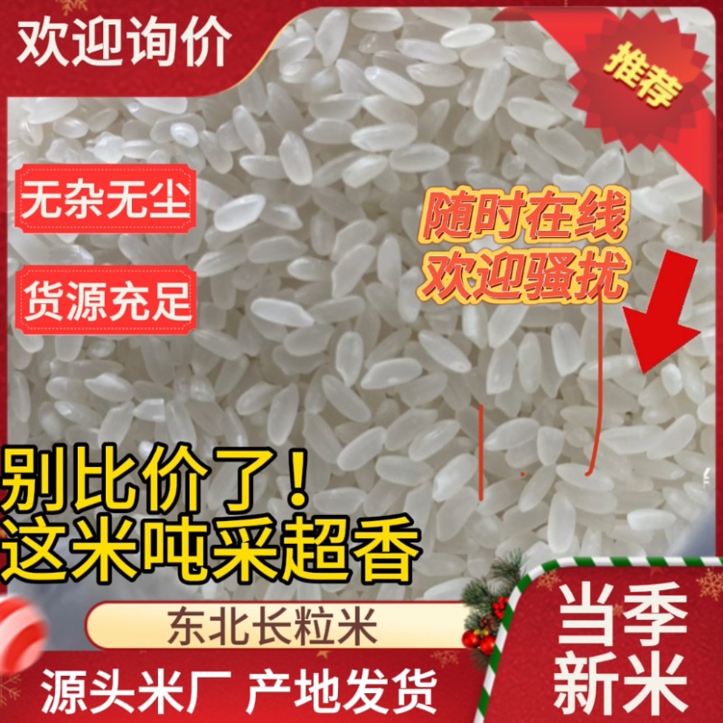 东北正宗长粒香米｜厂家货源无杂无尘新米全国发