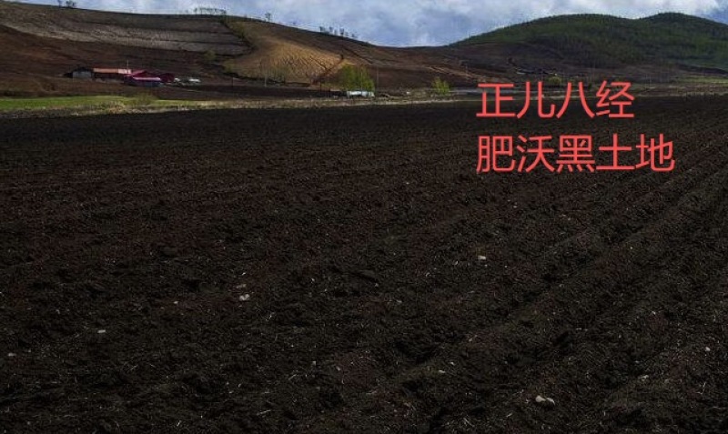 东北正宗长粒香米｜厂家货源无杂无尘新米全国发