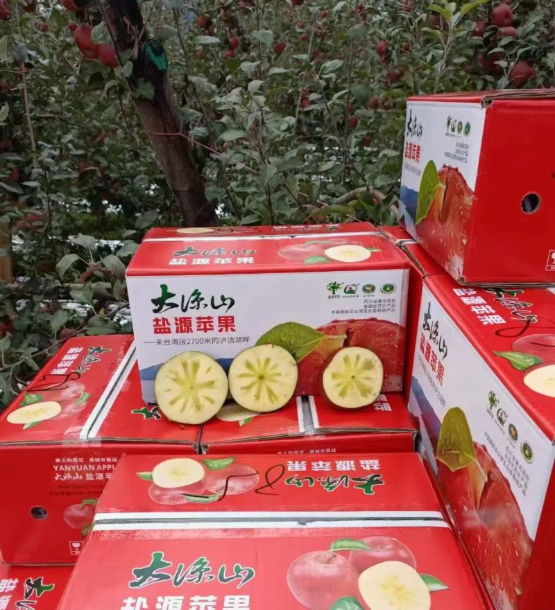 凉山高原特产批发