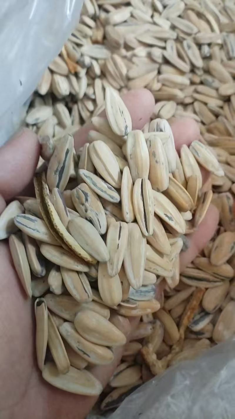 脱皮五香瓜子电商货