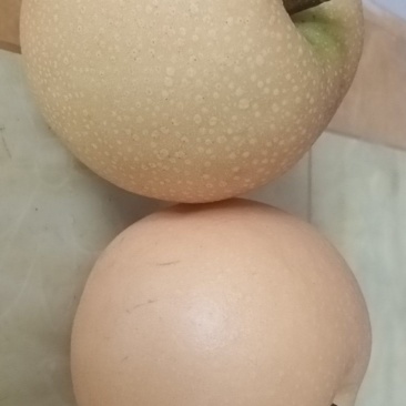 秋月梨