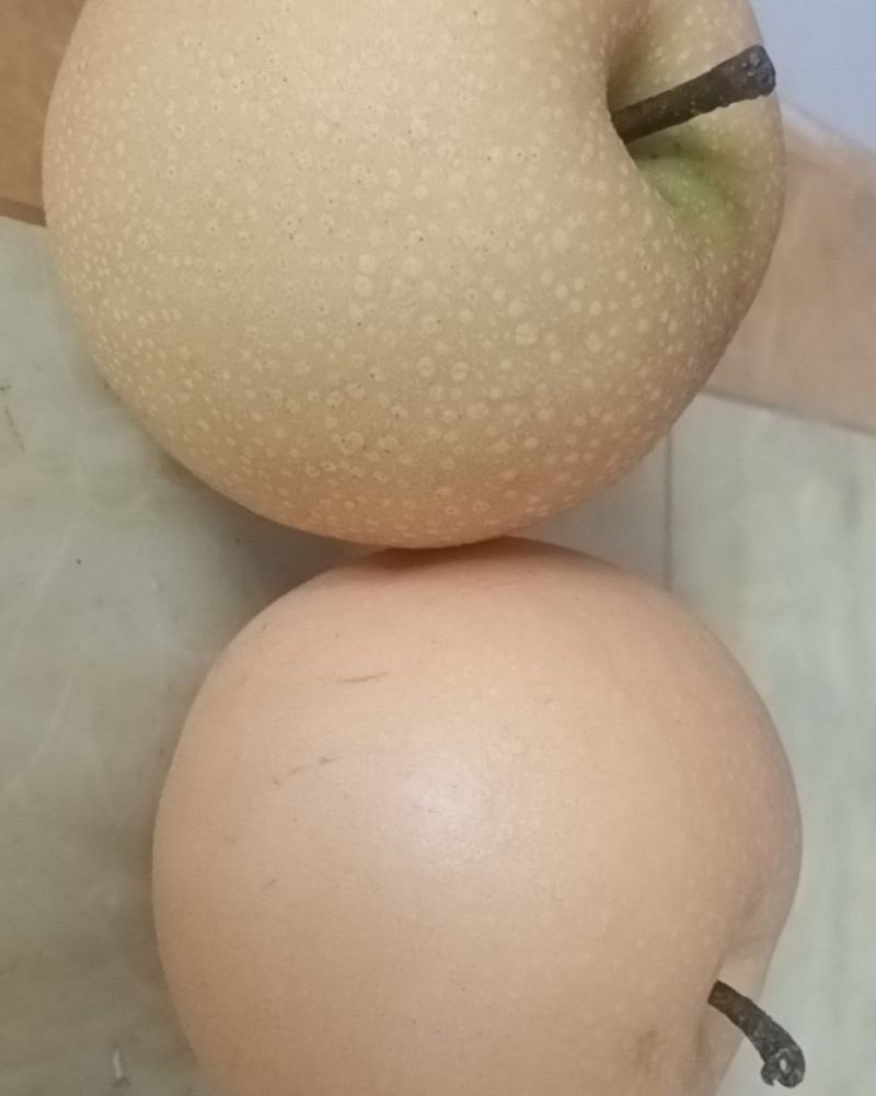 秋月梨