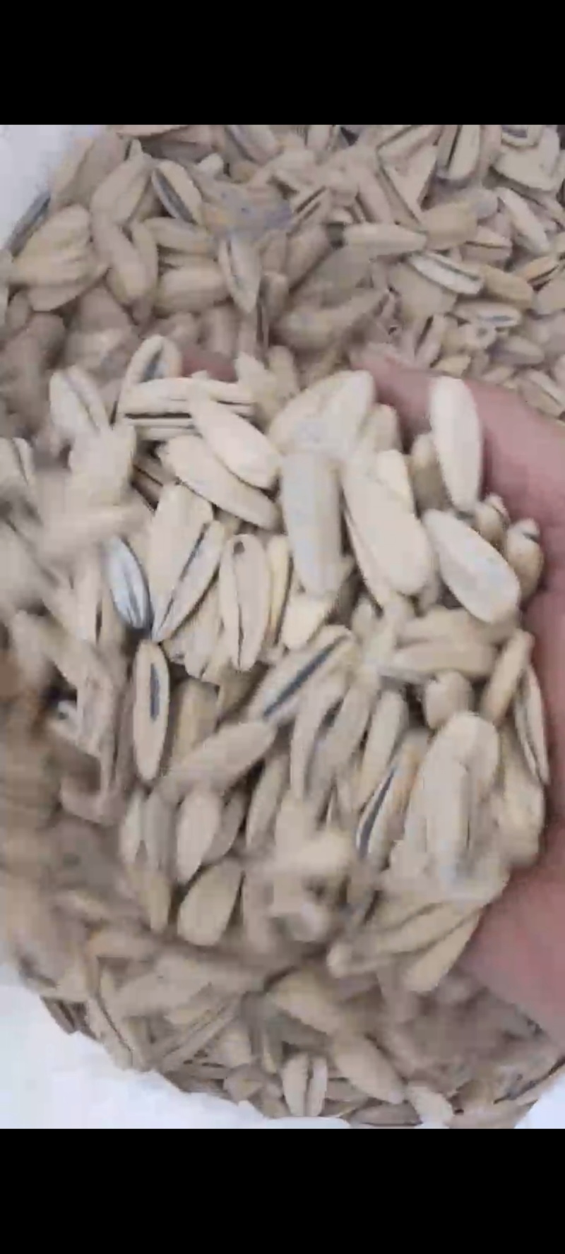 电商货脱皮五香瓜子大颗粒