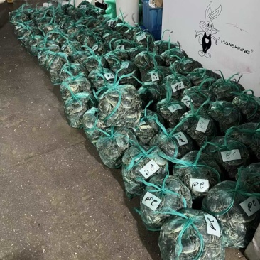 江苏省泗洪县洪泽湖大闸蟹